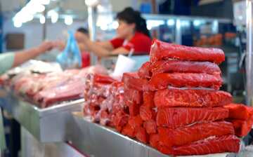 ホセ マリア ピノ スアレス ミュニシパル マーケット マサトラン旅行 エクスペディア ホセ マリア ピノ スアレス ミュニシパル マーケット マサトラン旅行 エクスペディア