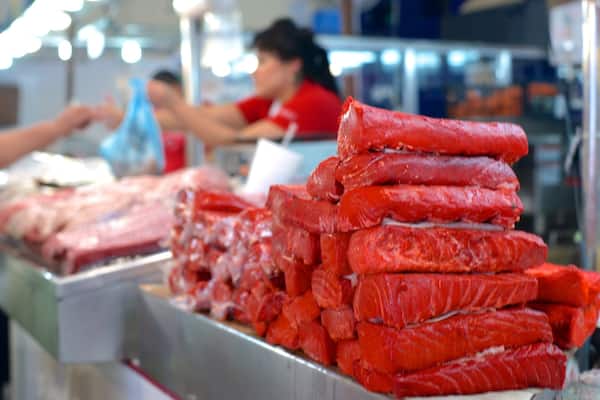 Jose Maria Pino Suarez Municipal Market showing markets and food