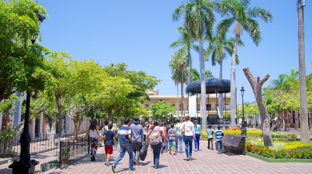 Plaza Machado que incluye un jardín y una plaza y también un grupo grande de personas