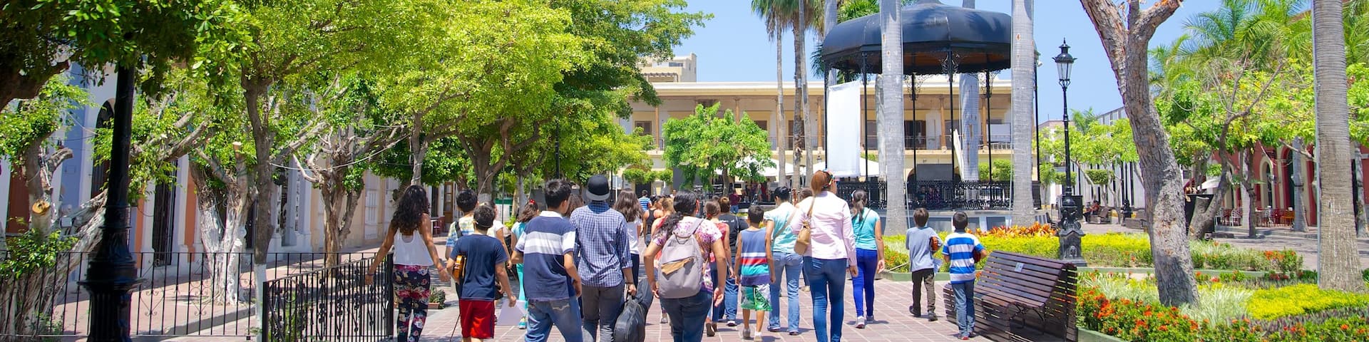 Plaza Machado which includes a square or plaza and a park as well as a large group of people