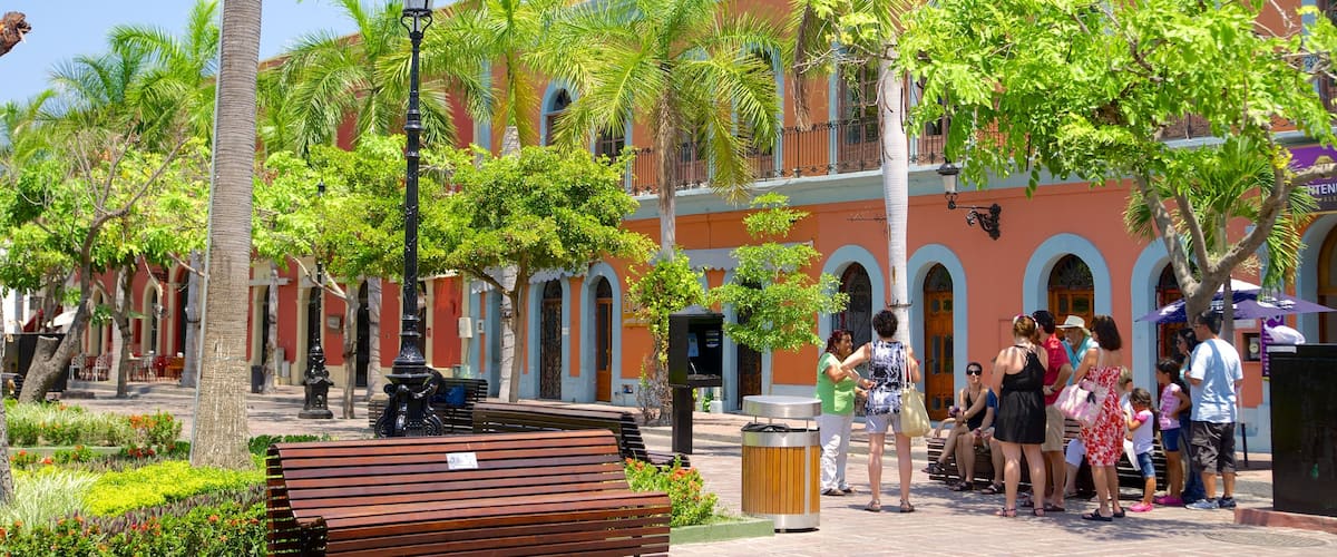 Plaza Machado mostrando un parque y un parque o plaza y también un pequeño grupo de personas