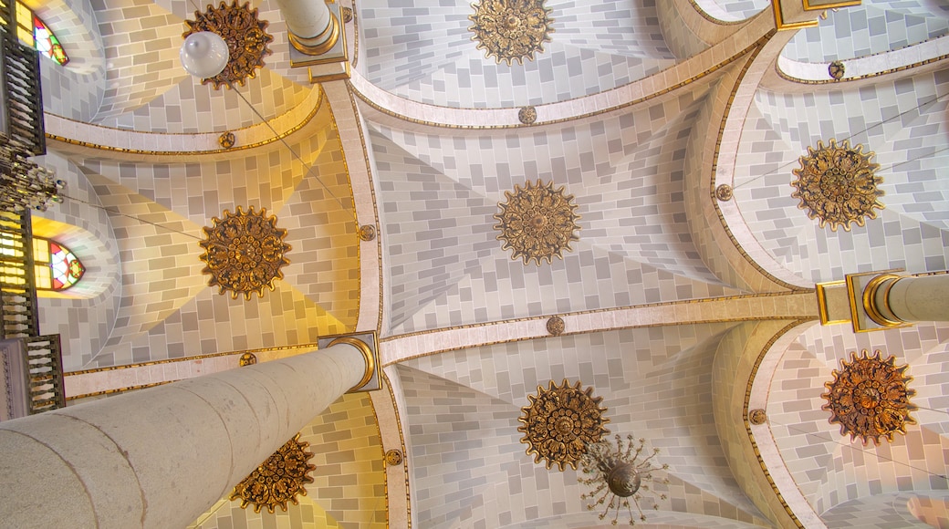 Immaculate Conception Cathedral featuring heritage architecture, interior views and a church or cathedral