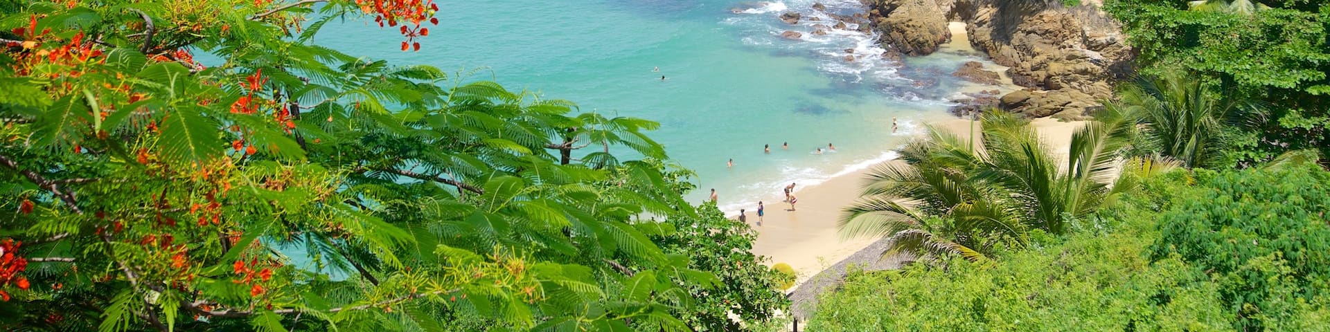 Carrizalillo Beach showing tropical scenes, a sandy beach and rocky coastline