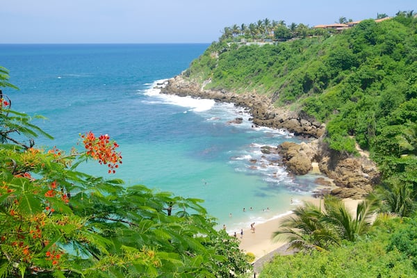 Playa Carrizalillo das einen schroffe Küste, Sandstrand und tropische Szenerien