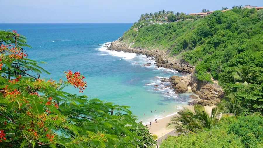 Carrizalillo Beach showing rocky coastline, a sandy beach and tropical scenes