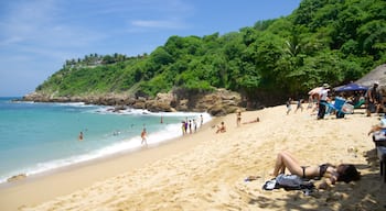 Praia de Carrizalillo mostrando uma praia, natação e litoral acidentado