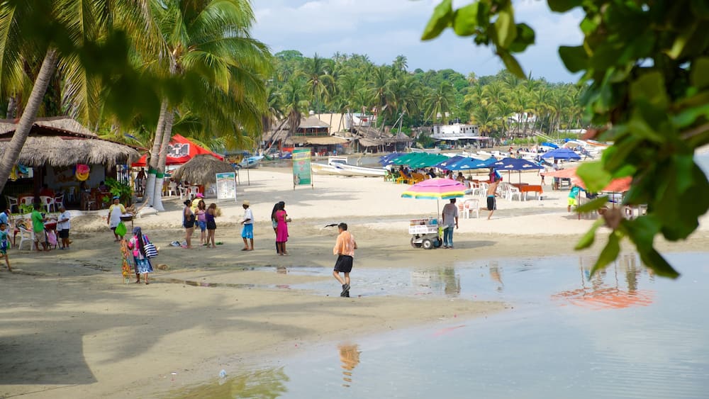 Puerto Escondido montrant hĂŽtel ou complexe de luxe, scĂšnes tropicales et plage