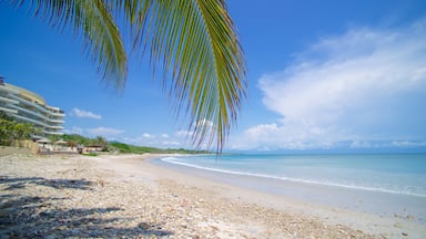 Punta Mita showing a sandy beach and landscape views