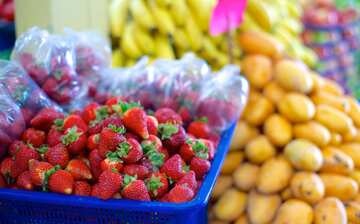 ホセ マリア ピノ スアレス ミュニシパル マーケット マサトラン旅行 エクスペディア ホセ マリア ピノ スアレス ミュニシパル マーケット マサトラン旅行 エクスペディア