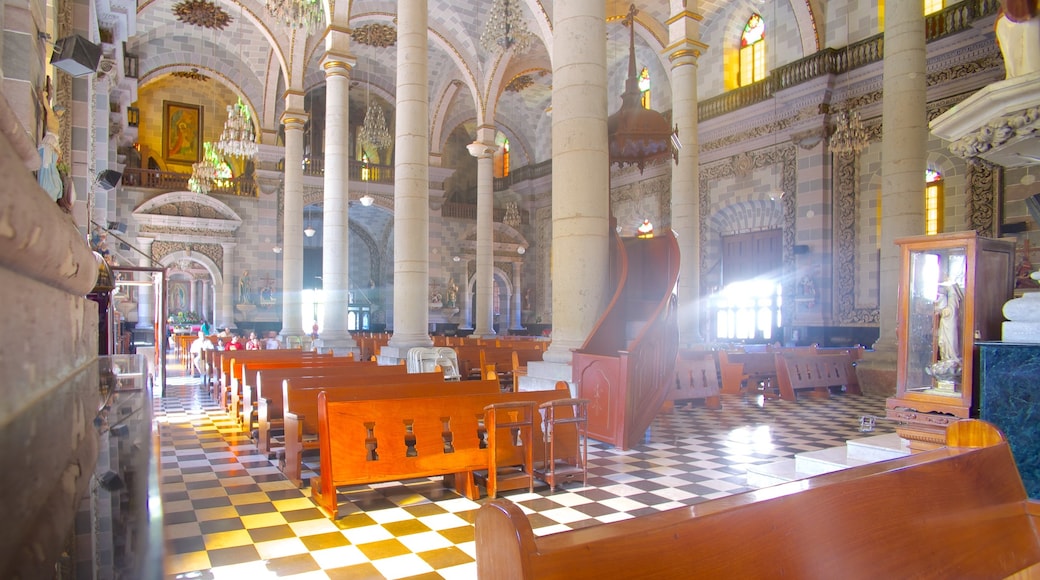 Cattedrale dell\'Immacolata Concezione mostrando chiesa o cattedrale, vista interna e architettura d\'epoca