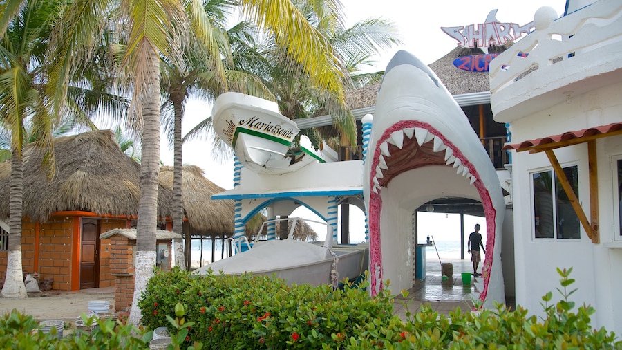 Zicatela Beach bevat algemene kustgezichten en een strandbar
