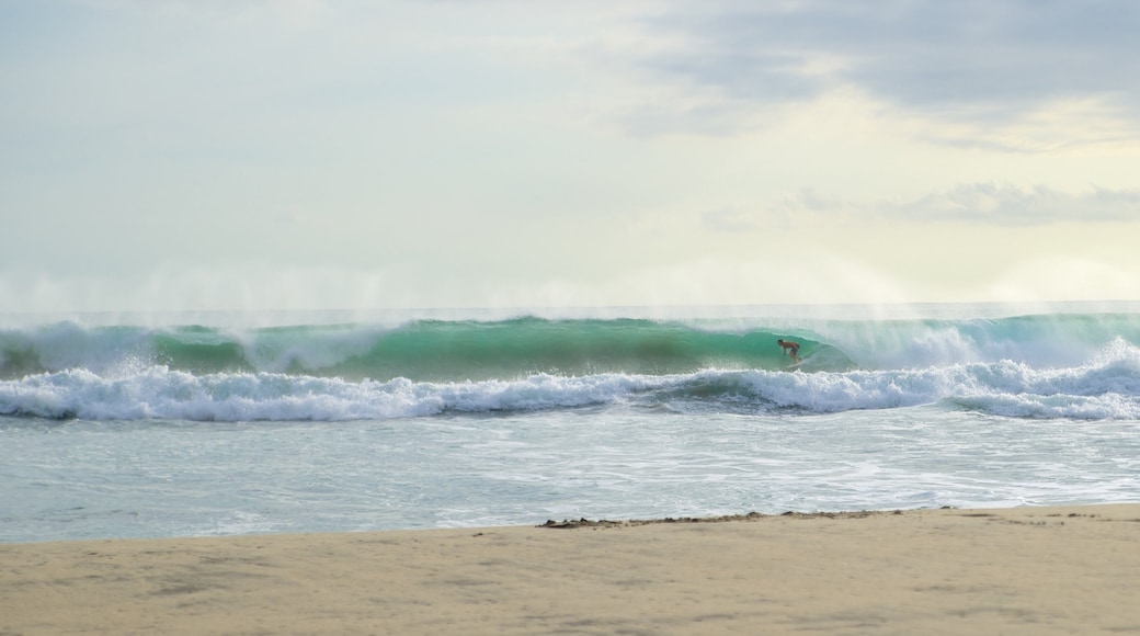 Zicatela Beach which includes waves and a sandy beach