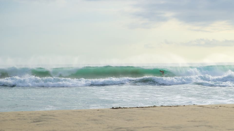 Zicatela Beach mostrando olas y una playa