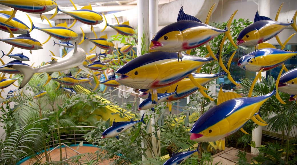 Veracruz Aquarium featuring marine life and interior views