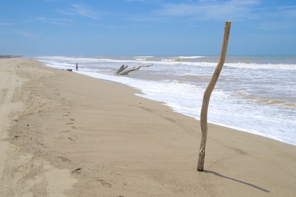 Playa de Barra Vieja featuring a beach