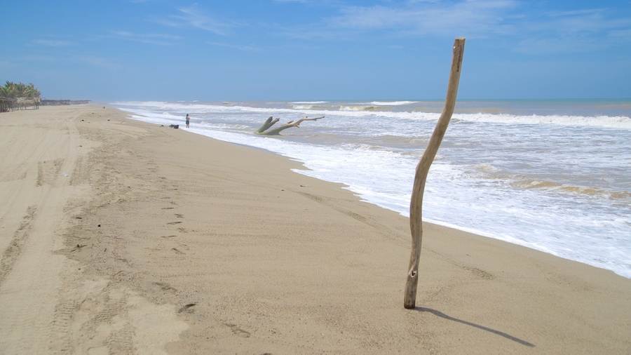 Playa de Barra Vieja som inkluderar en sandstrand