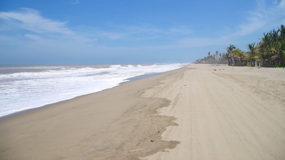 Playa de Barra Vieja showing a sandy beach
