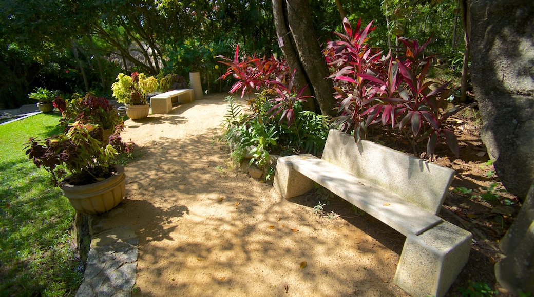 Jardín Botánico de Acapulco mostrando um jardim