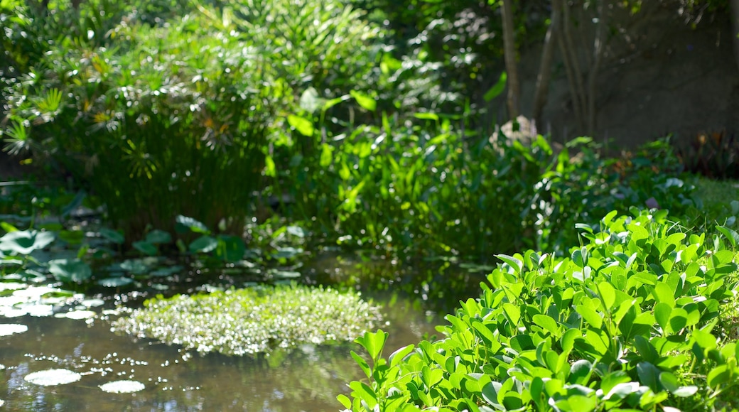 Jardin Botanico de Acapulco which includes a pond and a garden