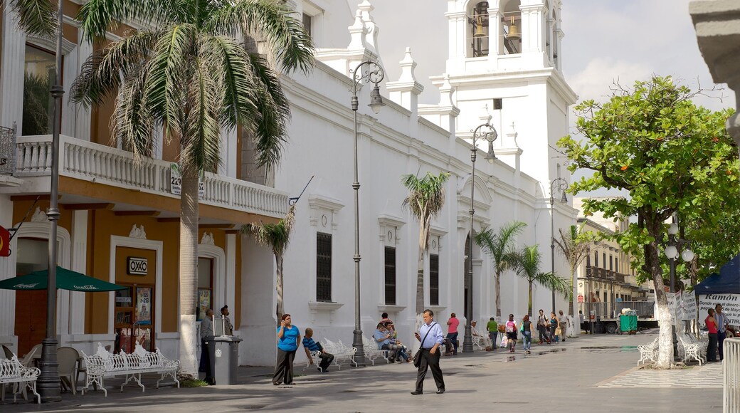 Veracruz Cathedral which includes street scenes and a church or cathedral