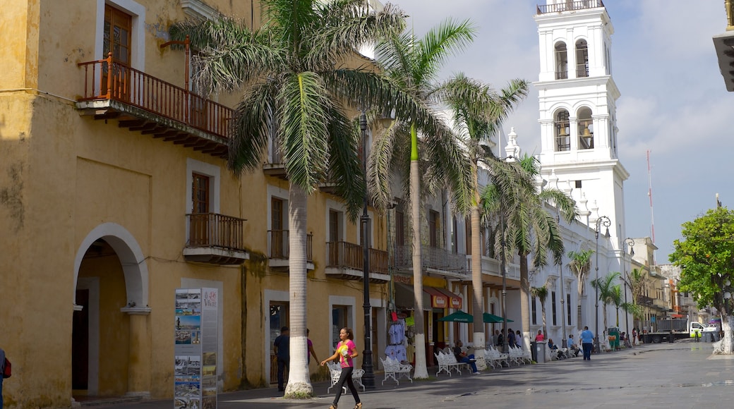 Cattedrale di Veracruz mostrando chiesa o cattedrale e strade