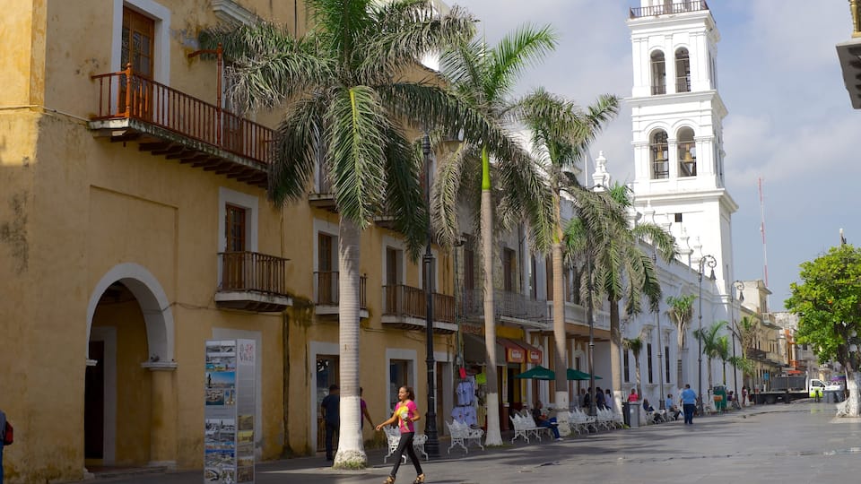 Veracruz Cathedral featuring street scenes and a church or cathedral