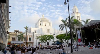 Veracruz Cathedral featuring performance art, a square or plaza and a church or cathedral