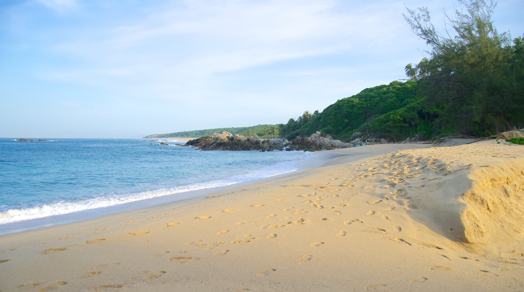 Bacocho Beach which includes a sandy beach and rocky coastline