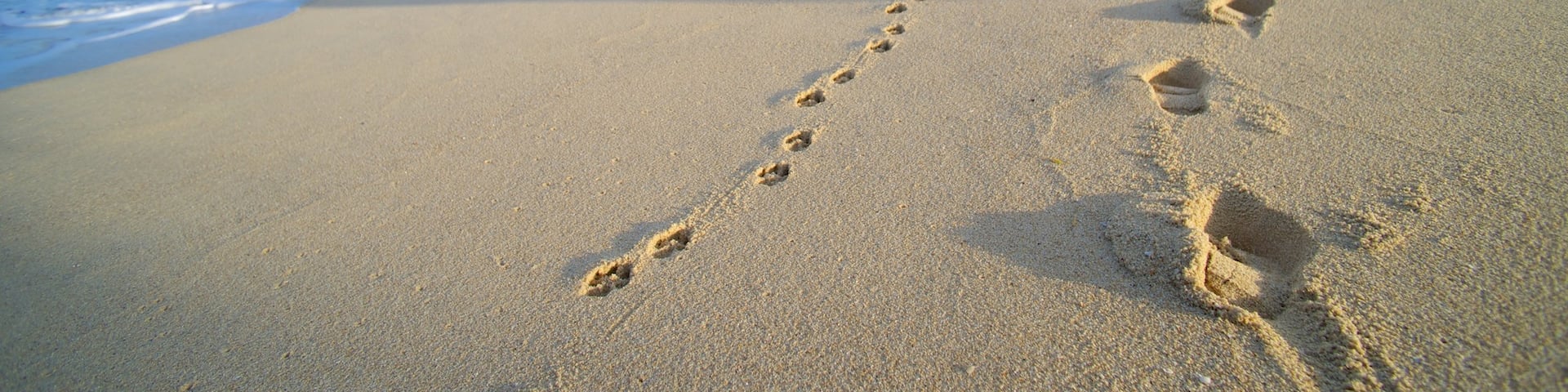 Bacocho Beach which includes a sandy beach