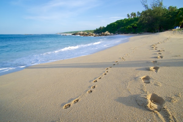 Bacocho Beach showing a sandy beach