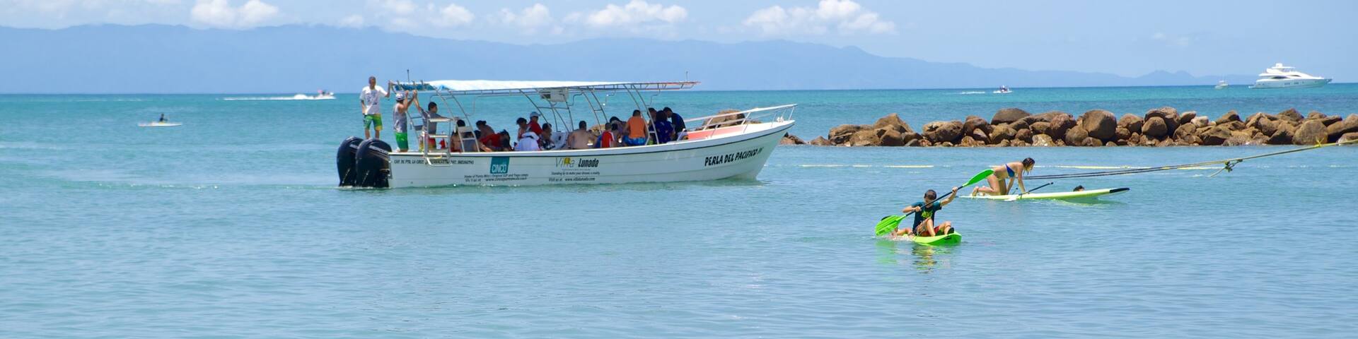 South Coast Nayarit showing boating, kayaking or canoeing and general coastal views