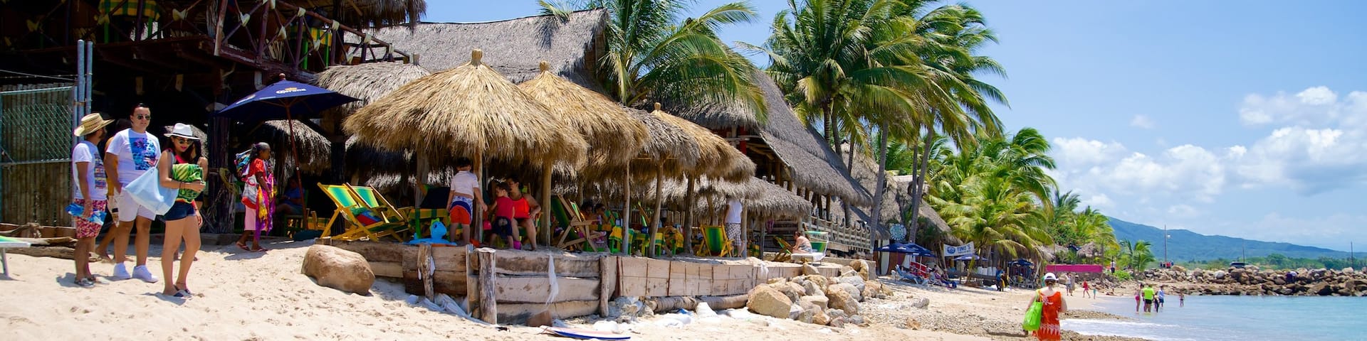 South Coast Nayarit featuring a beach bar, a beach and tropical scenes