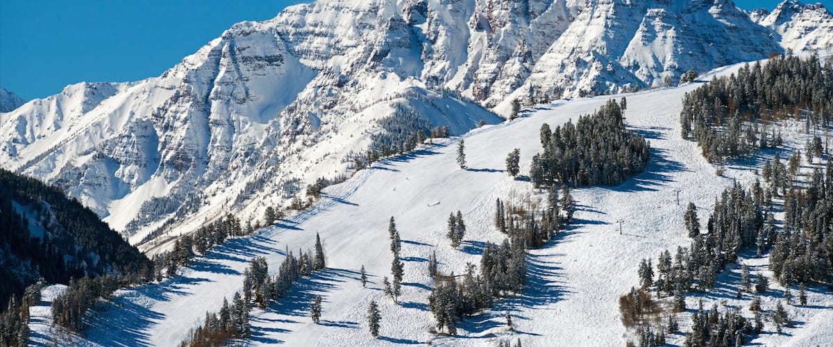 Aspen showing snow and mountains