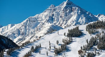 Aspen das einen Schnee und Berge