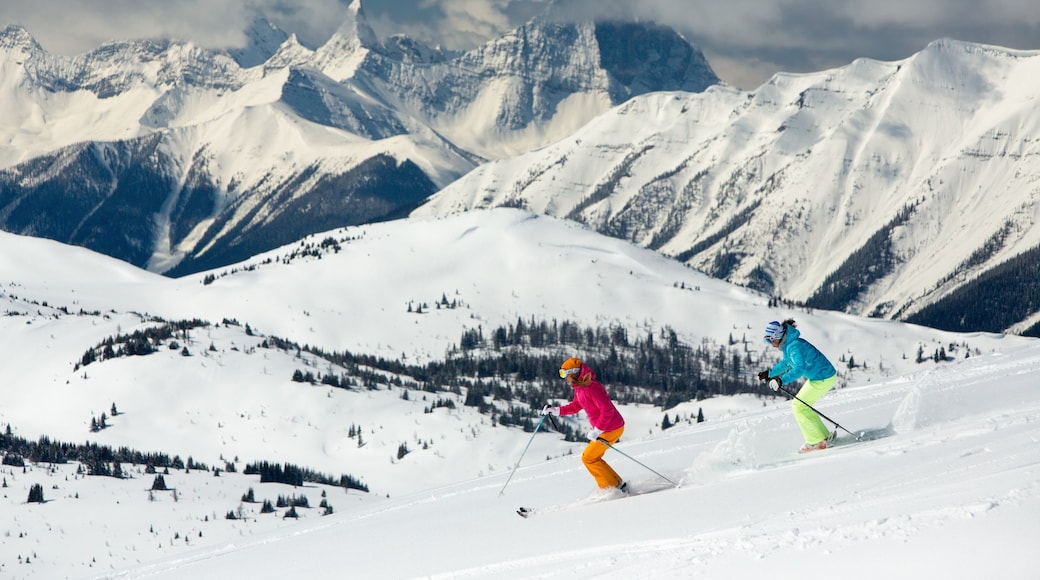Photo provided by Paul Zizka/Sunshine Village