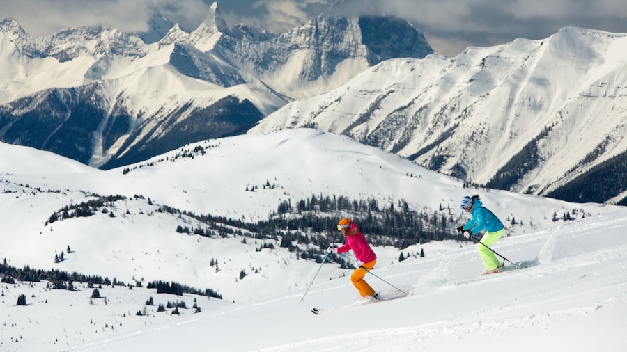 Sunshine Village showing snow, mountains and snow skiing