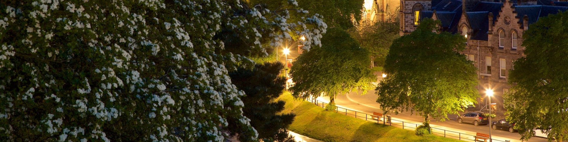 Inverness Cathedral showing heritage elements, night scenes and heritage architecture