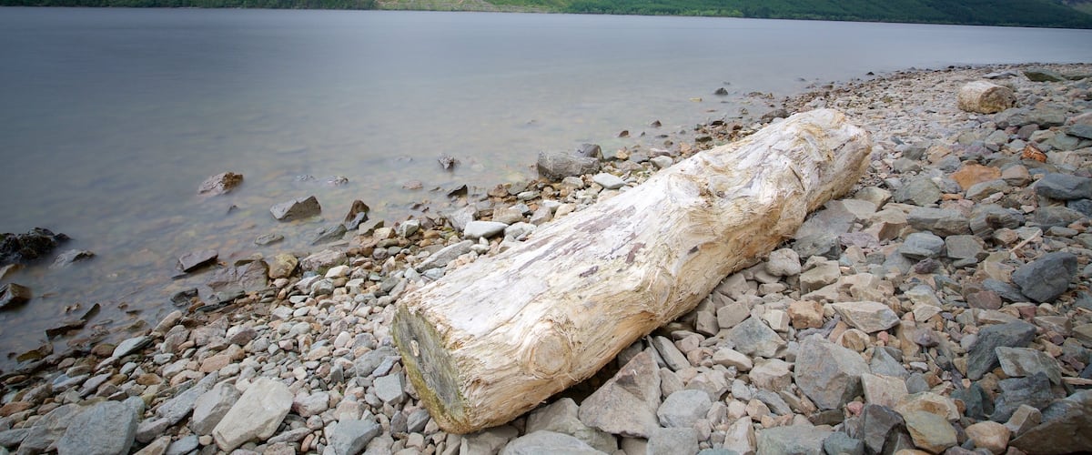 Fort William qui includes lac ou étang et montagnes