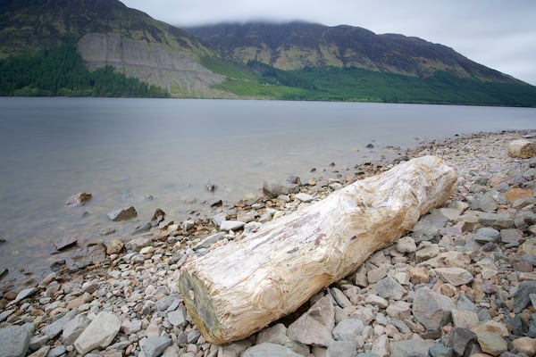 Fort William qui includes lac ou étang et montagnes