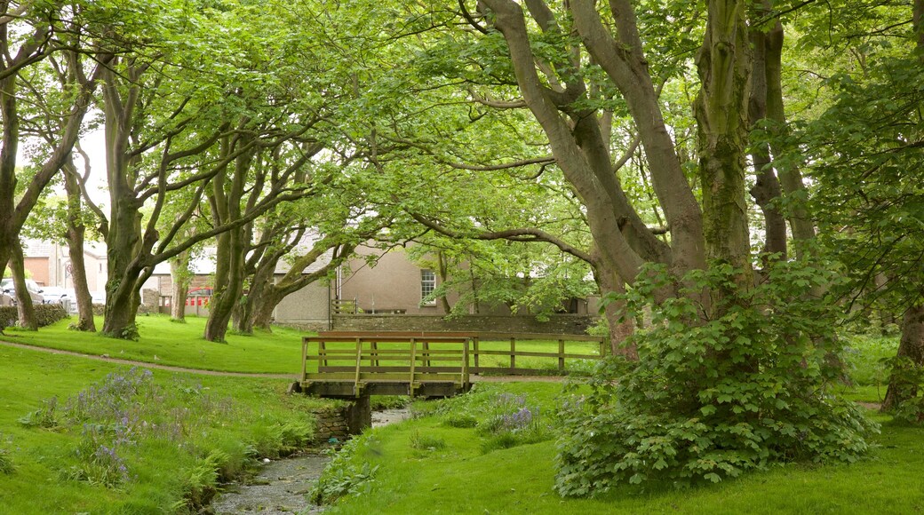 Kirkwall featuring a park and a river or creek