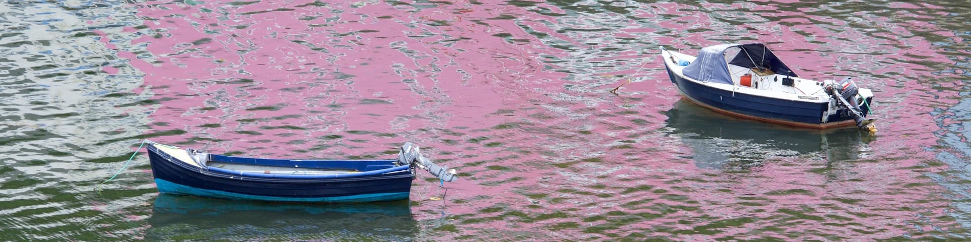 Hafen von Portree das einen Bootfahren und Bucht oder Hafen