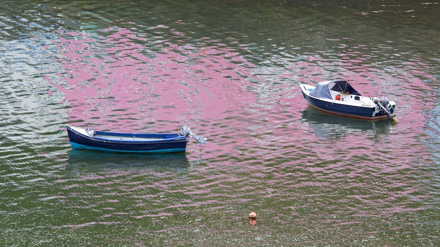 Hafen von Portree das einen Bootfahren und Bucht oder Hafen