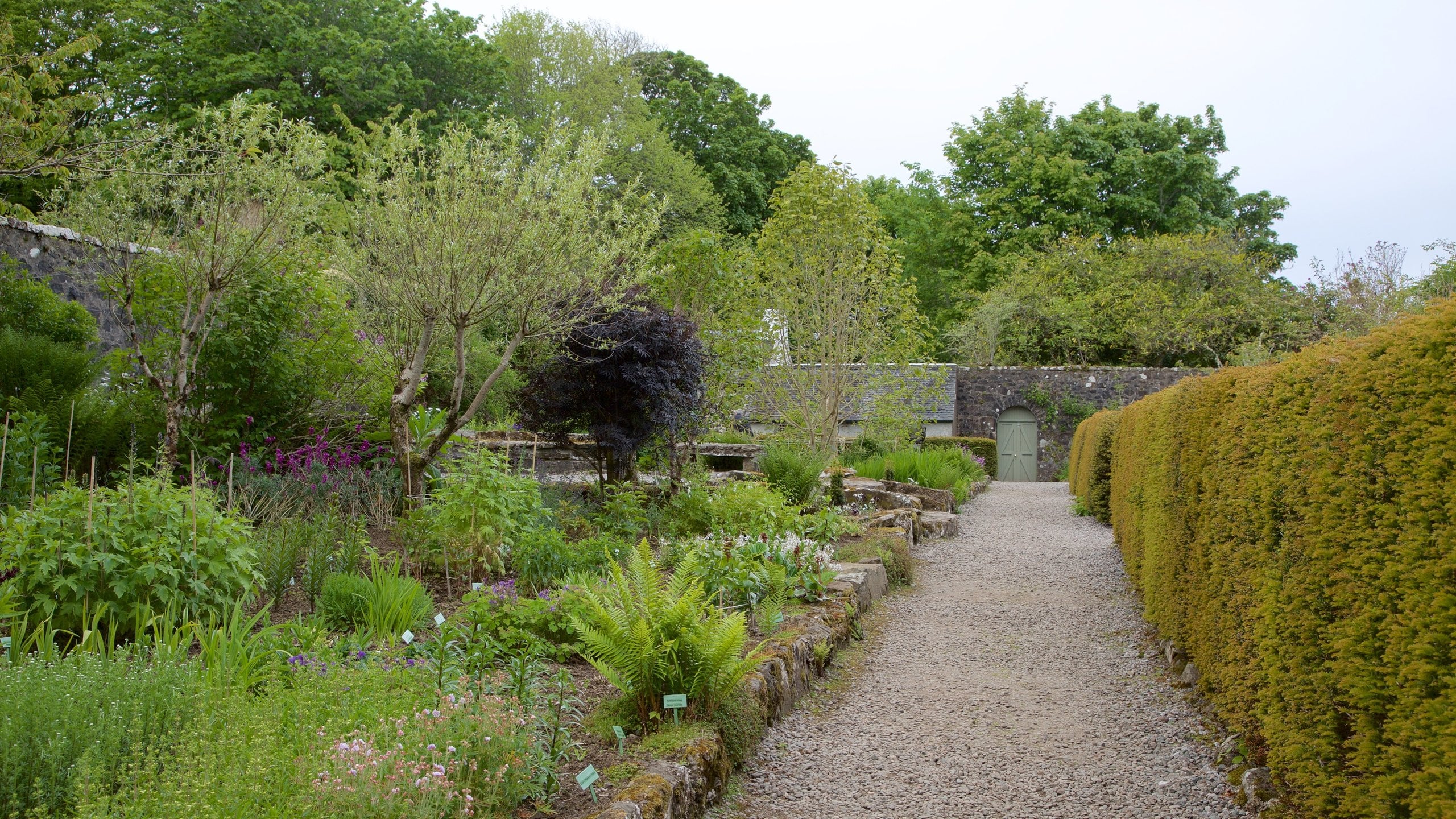 Dunvegan Castle showing a park