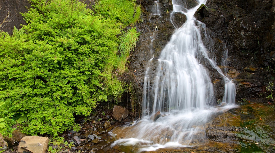 Dunvegan Castle featuring a waterfall