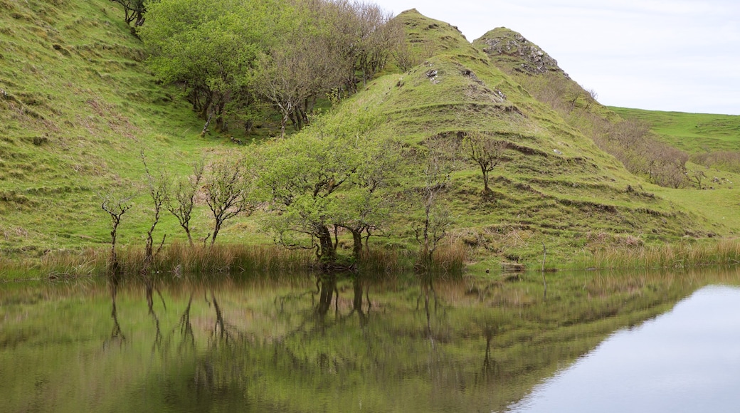 Isle of Skye showing tranquil scenes and general coastal views