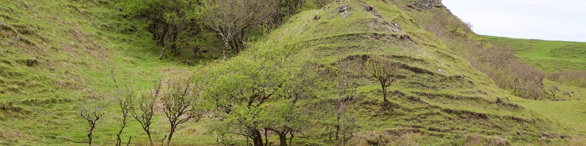Isle of Skye mit einem ruhige Szenerie und allgemeine Küstenansicht