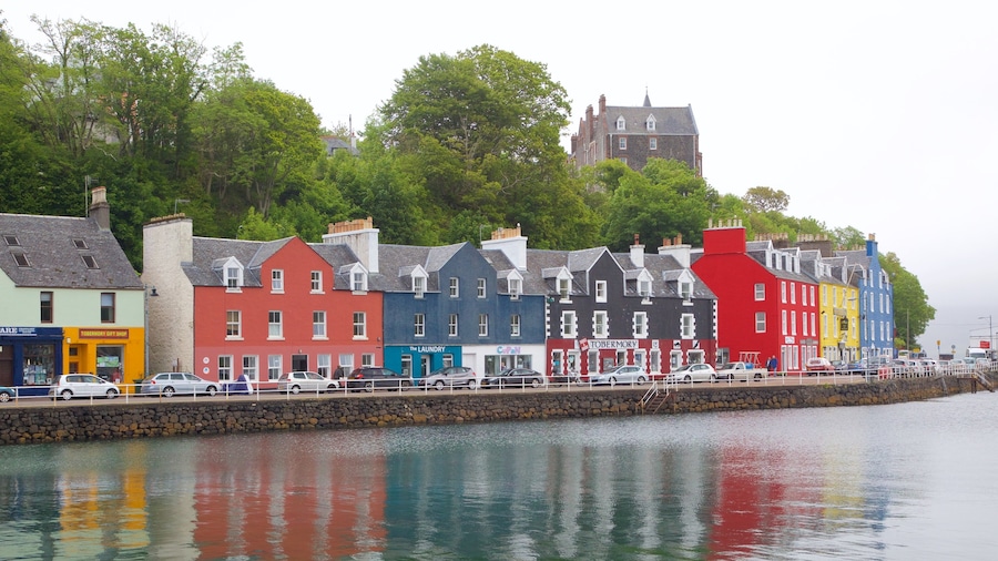 Mull mostrando località costiera e baia e porto