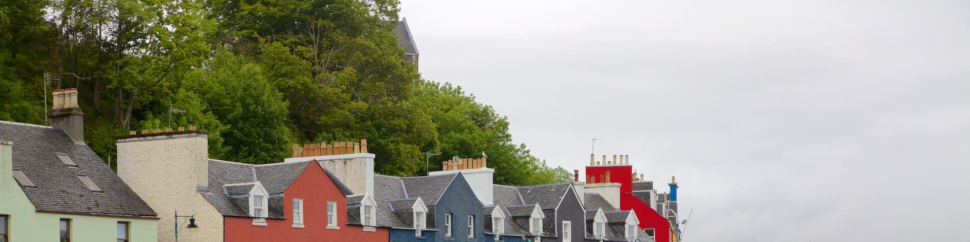 Isle of Mull showing a coastal town and a bay or harbor