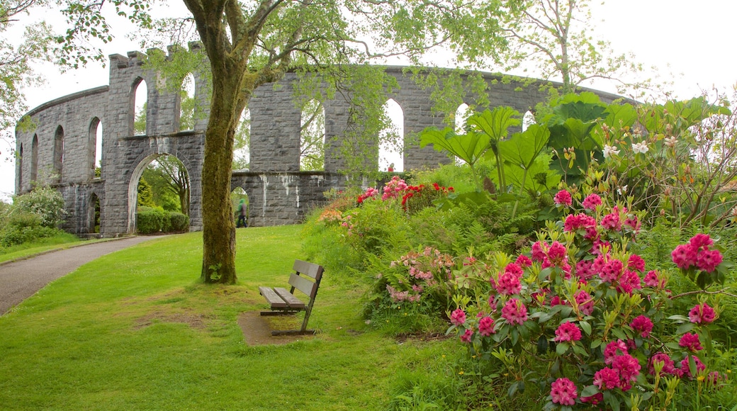 McCaig\'s Tower que incluye un jardín, elementos del patrimonio y patrimonio de arquitectura