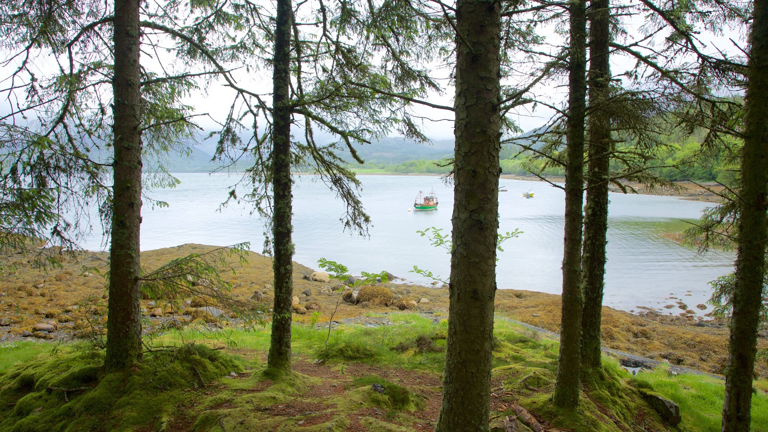 Ferienwohnung Benderloch, Oban Ferienhäuser & mehr FeWodirekt